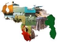 ProduccionVzla's profile picture. Promocion de la produccion nacional con noticias comentarios y criticas