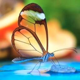 TOWebsiteDesign's profile picture. We are #toronto Web Design company based @Toronto. We #design and build custom #websites & #SEO for our clients . Top Toronto Web Design  in #GTA 416-628-5275