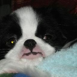 ax2a's profile picture. 旅行と美味しい物が大好き(特にラーメン)
低加水麺はm(__)m
吞兵衛です

【ＲＴは表示しない】　をお勧めします