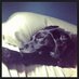 Dan R. Marvin (@red_umbrellas) Twitter profile photo