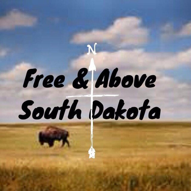 A movement surrounding those affected by depression, self injury, suicide and mental health issues. #FreeAndAbove