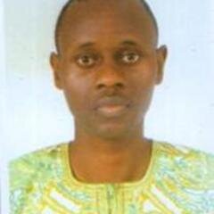 Adekola Taylor is a classified researcher in the field of strategic thinking and intelligences. He is a professional writer and a trained pharmacist.