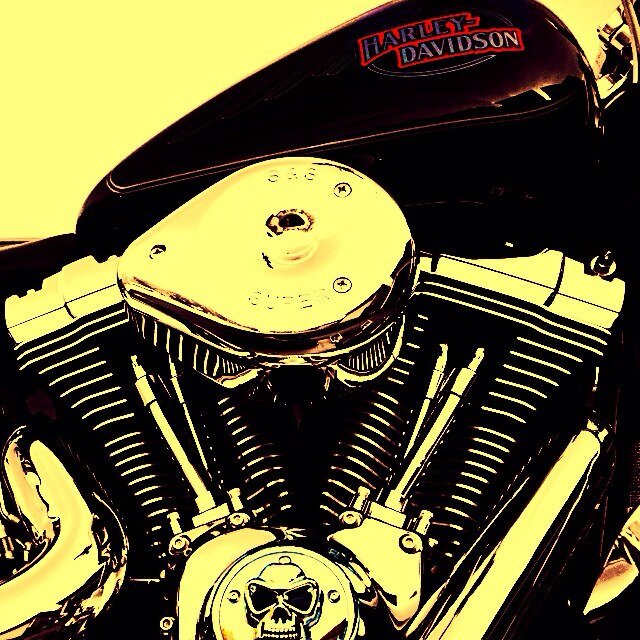 Loud & Proud ! Two Wheels Straight to Hell