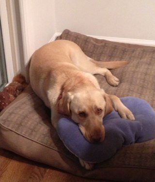 Fjy1961's profile picture. 