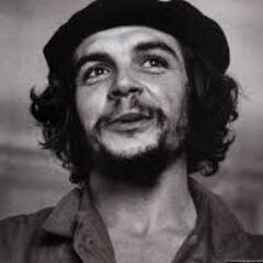 CurtisPelicanMN's profile picture. Gopher Sports Fanatic / Sufferer of 〽️N Professional Sports Teams.