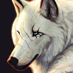 Loup_solidaire Profile Picture