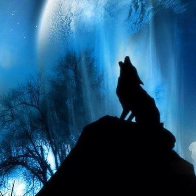 tao1027sfc's profile picture. sfc13/azb/チェロ/EKO/NECO,CAL/元テックキッズ/元横浜メンター/モンスト/マダミス/人狼/脱出・謎解き/ボドゲ