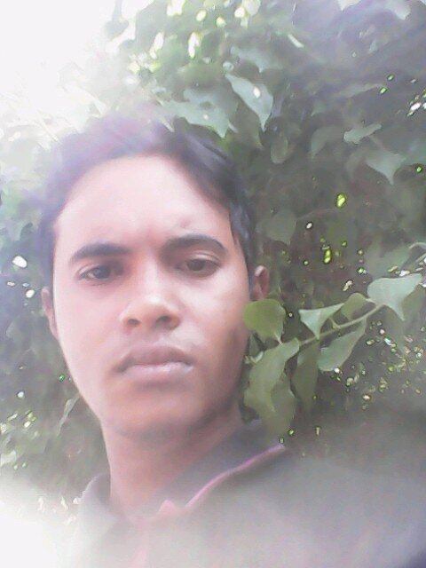 doyalnondi's profile picture. 