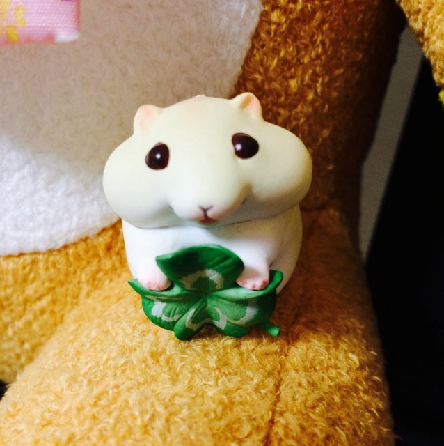 fu_ko1999's profile picture. モルモット大好きアラフィフです。 ✨グッバイ・藤井フミヤs・銀魂→SPYAIR ・弱ペダ・ハイキュー‼︎ etc…好きデス。最近、sourcesにハマっています。フォローしなくてスミマセン…