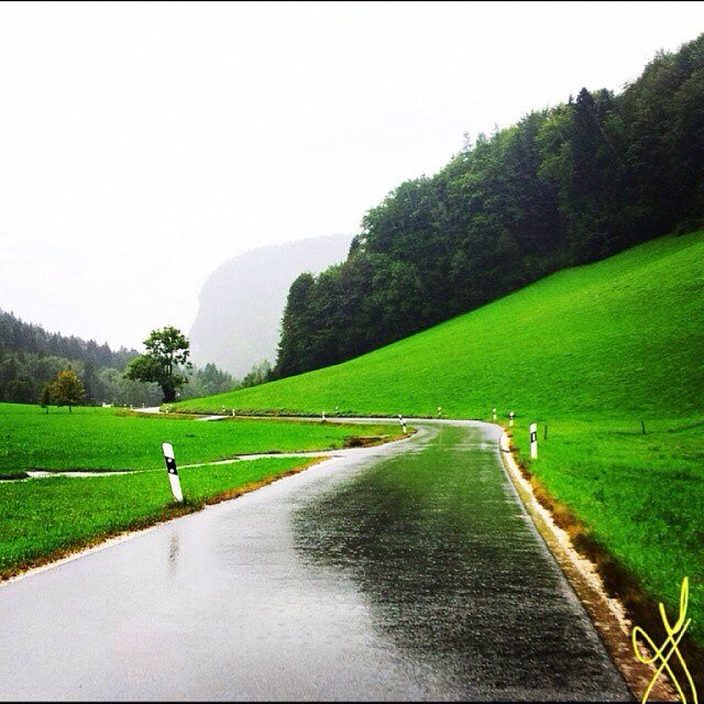 saleh4z's profile picture. 