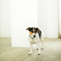 UNDERDOGARTCO's profile picture. Art Gallery - Space Hire - Art Hire