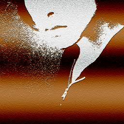 政治とか経済とか生き方とか取り留めもなくつぶやきます。