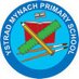 Ystrad Mynach Primary School (@YstradPrimary) Twitter profile photo