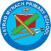 Ystrad Mynach Primary School (@ystradprimary) Twitter profile photo