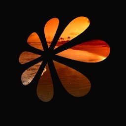 thematrix911's profile picture. 