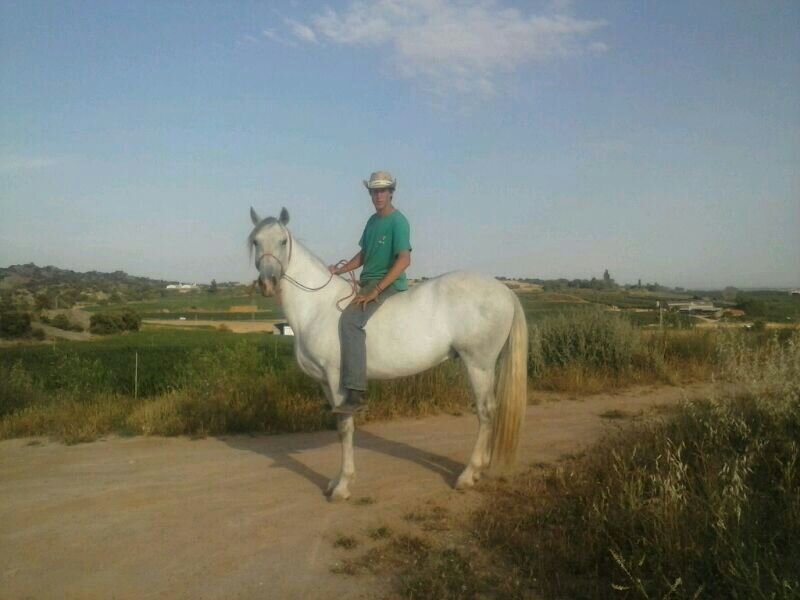 PaletOriol's profile picture. 