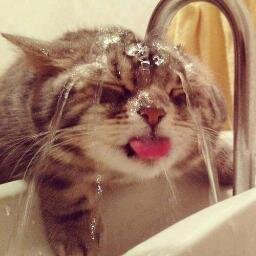 Oh shit it's hot in here