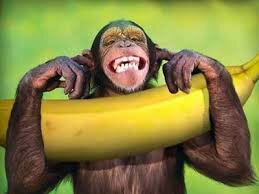 BrunoSees estrena su canal! Aventuras, Deportes, Viajes, etc. El link en mi descripción, mira su primer video! si te gusta suscribete!