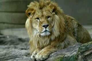 one love