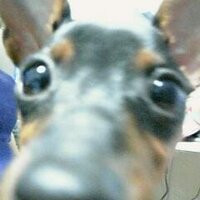 suisen (@sumire09080613) 's Twitter Profile