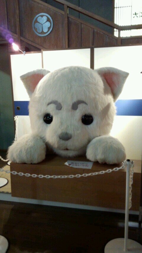 動物大好きだぁ~~~♪虫と爬虫類はダメだぁ~~(´・ω・`) 必殺技ゎくりぬき!!
六四天安門 台湾国独立 FREE TIBET