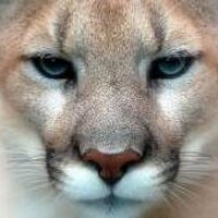@CarsonGuidance (@carsonguidance) Twitter profile photo