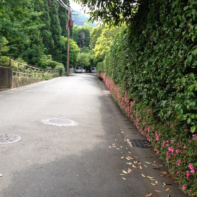 1103soo's profile picture. 나에게도 착한사람 .......