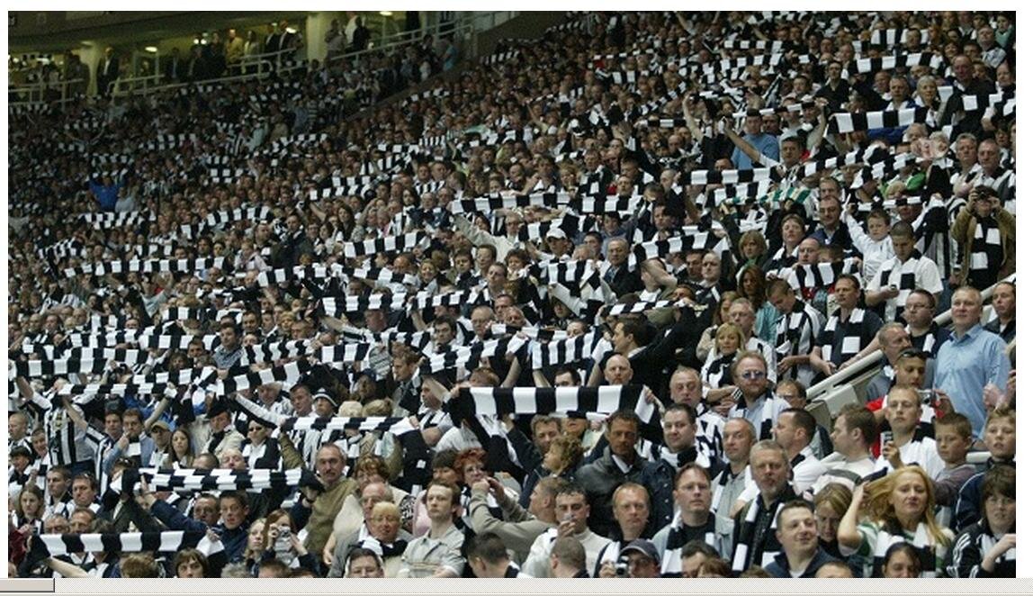 SteveDavison5's profile picture. Toon Fan living in Scottish Borders.........