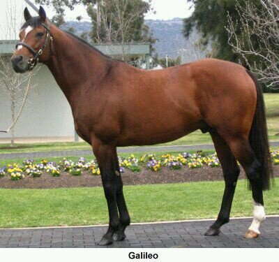 coolmore's hooligan