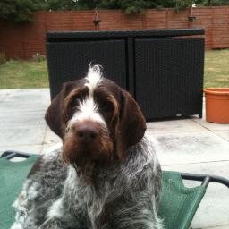 shaz2522's profile picture. 