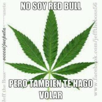 pirrow_04708's profile picture. 