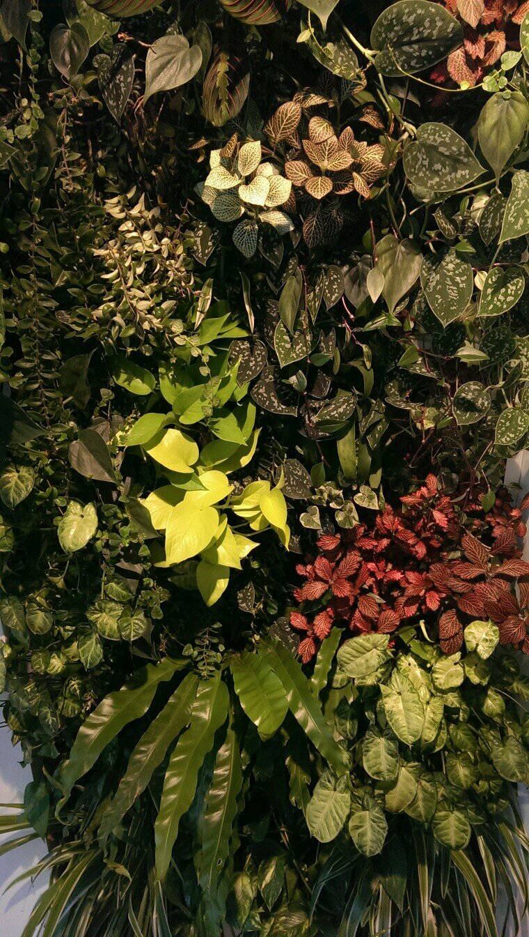 Managing Partner at https://t.co/NIxOriza0a , Horticulture Engineer, Master's Degree in Biodiversity and Bioconservation, PHD student.