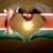 Benjamin Maina