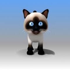 shadboltcat's profile picture. I am the Customer Liaison Manager for FR Shadbolt and Sons Ltd. My role: To assist our Clients, making sure their journey with Shadbolts is enjoyable