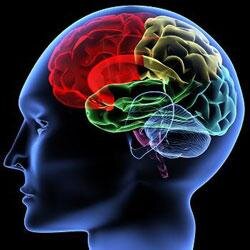 GlynPsychSoc's profile picture. The Psychology and Sociology department at Glyn School. Follow us for fascinating articles and videos that will enrich your learning!