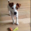 cline La Familia etc - @cline_bella - Twitter