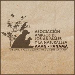 AAANPANAMA Profile Picture