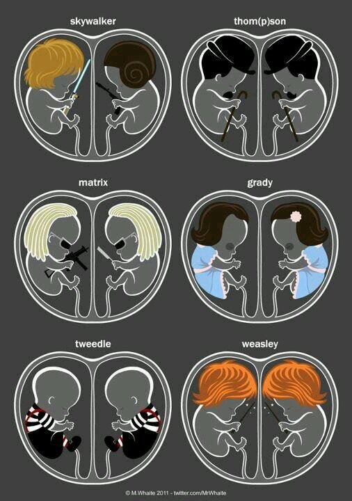 viazcan12's profile picture. 