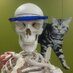 Hirsh Library (@tuftshhsl) Twitter profile photo
