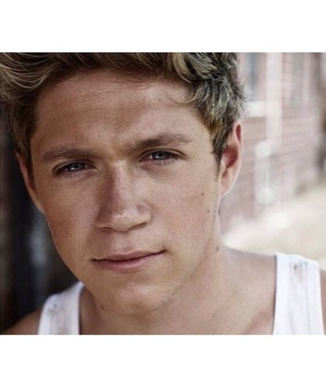 Hey , I'm just a Dutch girl who fell in love with a boyband called One Direction. K bye. ♡