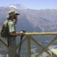 luis freites (@luisalfreites) 's Twitter Profile