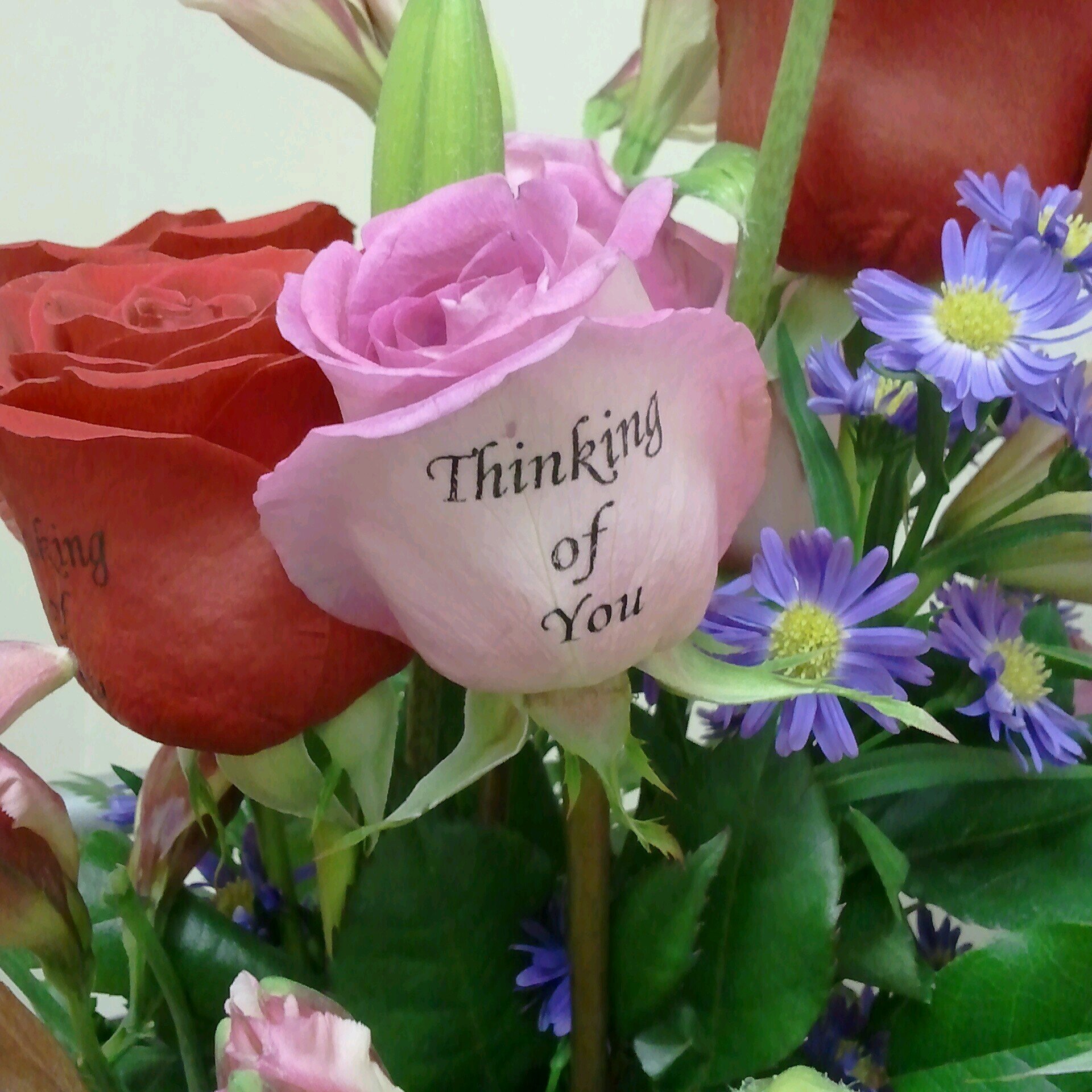 Speak To Me Roses personalizes live roses with a message or image for any occasion or event. Be unique, let us do the talking when words won't do it!