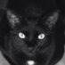 Lisa j (@11jessk) Twitter profile photo