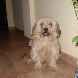 Gracias a todos los que amais a los animales.
