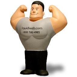 LiquidwebNOC's profile picture. Liquid Web Inc. NOC