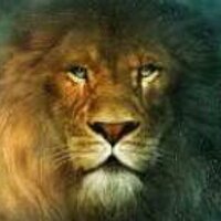 أسد تويتر (@jo0oley4ever4) 's Twitter Profile