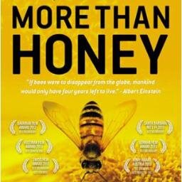 MORE THAN HONEY is an award-winning film about global honeybee decline from Oscar®-nominated director Markus Imhoof. Now on VOD via iTunes, Vudu, Amazon