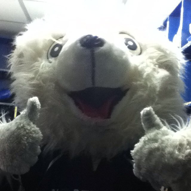 Team Mascot for MK Lightning Ice Hockey Team. Look out for me and give me a hug!