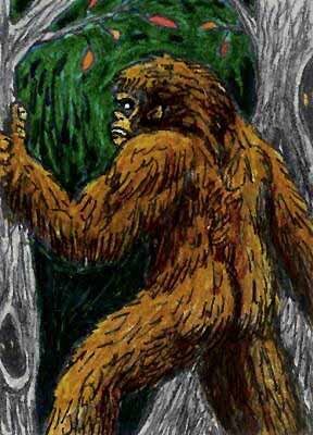 Bigfoot In The News The Bigfoot Conundrum