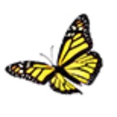 betterflytrade's profile picture. Twitter feed for the UK travel industry manned by RB London sales office